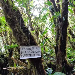 Miravalles Volcano - Guanacaste