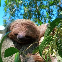 Miravalles Volcano - Guanacaste