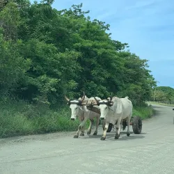 Nosara - Guanacaste