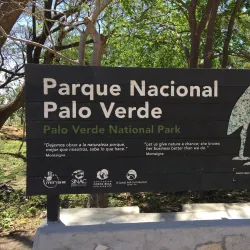 Palo Verde National Park - Guanacaste