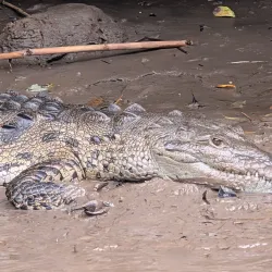 Palo Verde National Park - Guanacaste