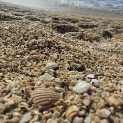 Playa Conchal - Guanacaste