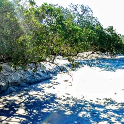 Playa Flamingo - Guanacaste