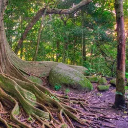 Rincon de la Vieja National Park - Guanacaste