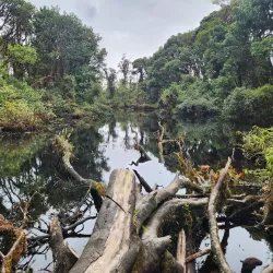 Barva Volcano National Park - Heredia