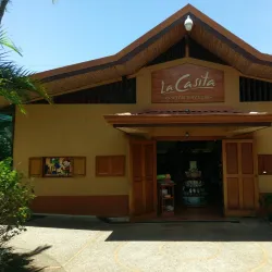 Coffee Plantations Tours - Heredia