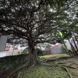 Museo de Cultura Popular - Heredia