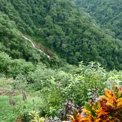 Pura Vida Gardens and Waterfalls - Jaco Beach