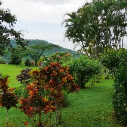 Pura Vida Gardens and Waterfalls - Jaco Beach