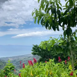 Pura Vida Gardens and Waterfalls - Jaco Beach