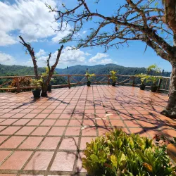 Pura Vida Gardens and Waterfalls - Jaco Beach