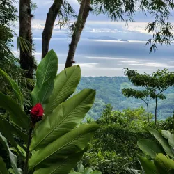 Pura Vida Gardens and Waterfalls - Jaco Beach