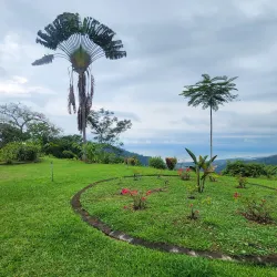 Pura Vida Gardens and Waterfalls - Jaco Beach