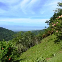 Pura Vida Gardens and Waterfalls - Jaco Beach