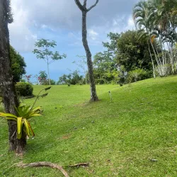 Pura Vida Gardens and Waterfalls - Jaco Beach