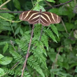 Rainforest Adventures Costa Rica Pacific Park - Jaco Beach