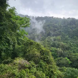 Rainforest Adventures Costa Rica Pacific Park - Jaco Beach