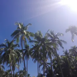 Tortuga Island - Jaco Beach