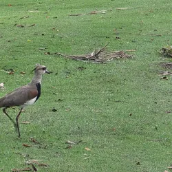 Vista Los Sueños Golf Course - Jaco Beach