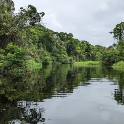 Barra del Colorado Wildlife Refuge - Limon