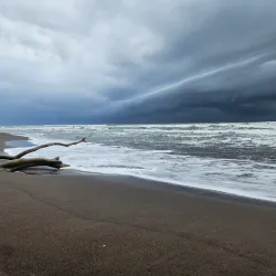 Barra del Colorado Wildlife Refuge - Limon