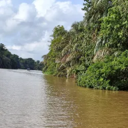 Barra del Colorado Wildlife Refuge - Limon