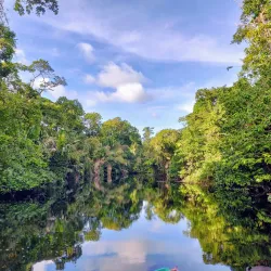 Barra del Colorado Wildlife Refuge - Limon
