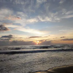 Barra del Colorado Wildlife Refuge - Limon