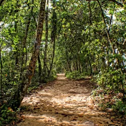 Cahuita National Park - Limon