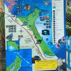 Cahuita National Park - Limon