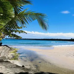 Cahuita National Park - Limon