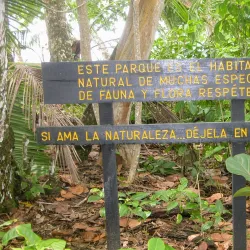 Cahuita National Park - Limon