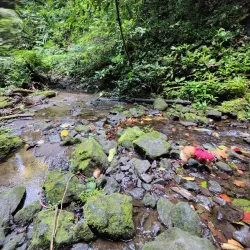 Guapiles Waterfall - Limon