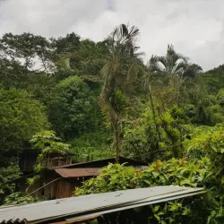 Guapiles Waterfall - Limon