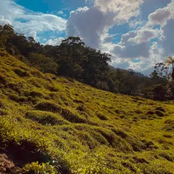 Guapiles Waterfall - Limon