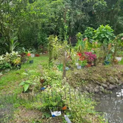 Guapiles Waterfall - Limon