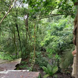Guapiles Waterfall - Limon