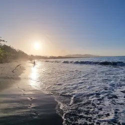 Playa Negra - Limon