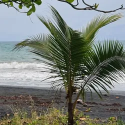 Playa Negra - Limon