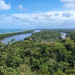 Tortuguero National Park - Limon