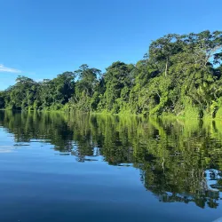 Tortuguero National Park - Limon