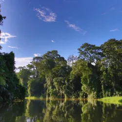 Tortuguero National Park - Limon