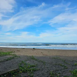 Tortuguero National Park - Limon