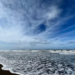 Tortuguero National Park - Limon