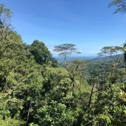 Veragua Rainforest Park - Limon