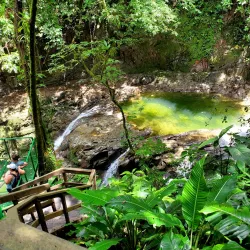Veragua Rainforest Park - Limon
