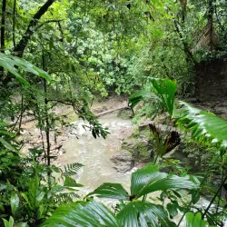 Veragua Rainforest Park - Limon