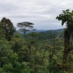 Veragua Rainforest Park - Limon