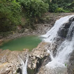 Veragua Rainforest Park - Limon
