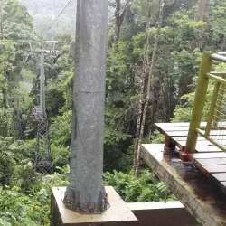 Veragua Rainforest Park - Limon